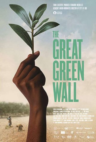 The Great Green Wall Documentary - 2020